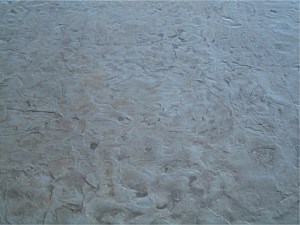 Stamped Concrete